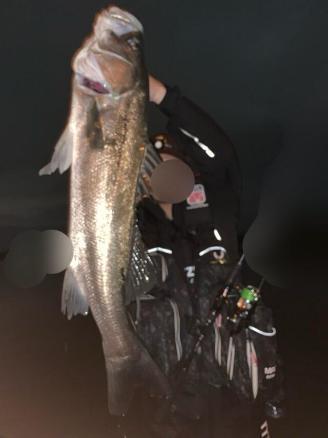 tWizOB5-6yAj8VKYGRvM9q-T7HGfQzoz_lmbNHPY2JlTfzaz90cPS4QBAzfBsksE1MgkXZL1-3nGQK2Kp8gCtU1mOJfVIBPh2uoelCNRrA1Z_O1bGQeUewtf_fsDIT5GhQ7XXNlMIvOKyR-Uke5ipw==