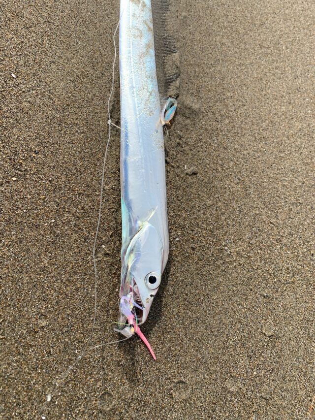 vWswDpe8b402-QzL7bLO2OfVdV-YiAPMPZaNbkeWF5wphE4IuM9zaHoqVlCltCNAvISW5bA8WlZg-CjV9jM_NsVVO0Ir34Tv6-WlsKgr-KW9nZemA_TxltYS9N5VS6b_kpngZXezwyv0UN-p8nCI8Q==