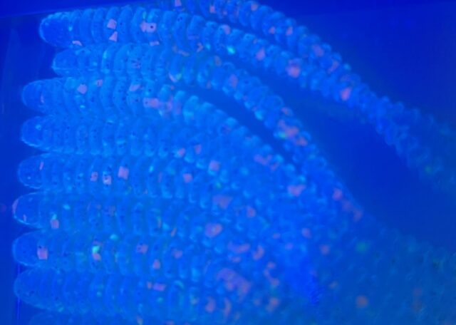 D0ITI1_Rf1LNHqGnu6KJRNdeuJvNcNi4Oy8mSTZiNQWnW7feNwVkGVOsrXRJIcLGVS9LSEvZQmhr2XGoF3oYeYNfH2okpfzevnxYcFX_ZxQ3G88W8aamtSAYybsMVbdFdWH1GW1Hzzc1ZjJIrpDCnQ==