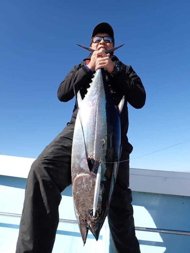 FB_IMG_1732271589510