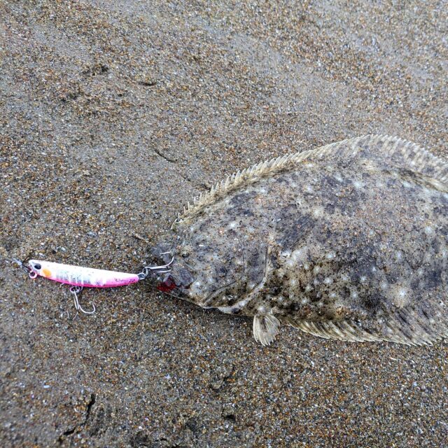 IMG_20241111_113236_543