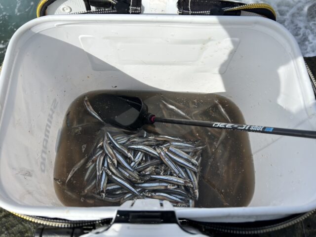 JeI3u5WUA21reQcIAhVU_wfCac1WQ8rrirWjmEut1Qjb8XNn0HME7CUfil5iuOgnjhbhgGNZb-SBgP_4iuaeeADeNT6frVhCW2QgZ9cNOjm77Oc8iz6gAlfJhqbaH_XKkpngZXezwyv0UN-p8nCI8Q==