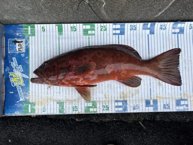 P7bhZTrxJIk5e16D2m78CQamTzEu6shmiUCmECy7aGQvyYadT0gBFCY642jqxdVdxDiOhFLk53RsPU86qVA0ct3G6SkZnQ2BmqAFr8XN7RGSaoGk61ME75Zqt5nUJvl6jgTjgTGATm1_gXXKFHhmhg==