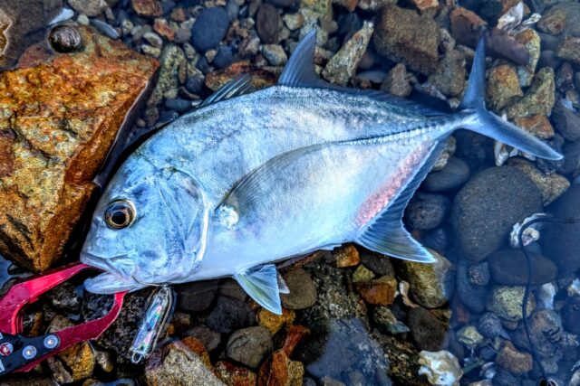 PXL_20241109_074344326~2