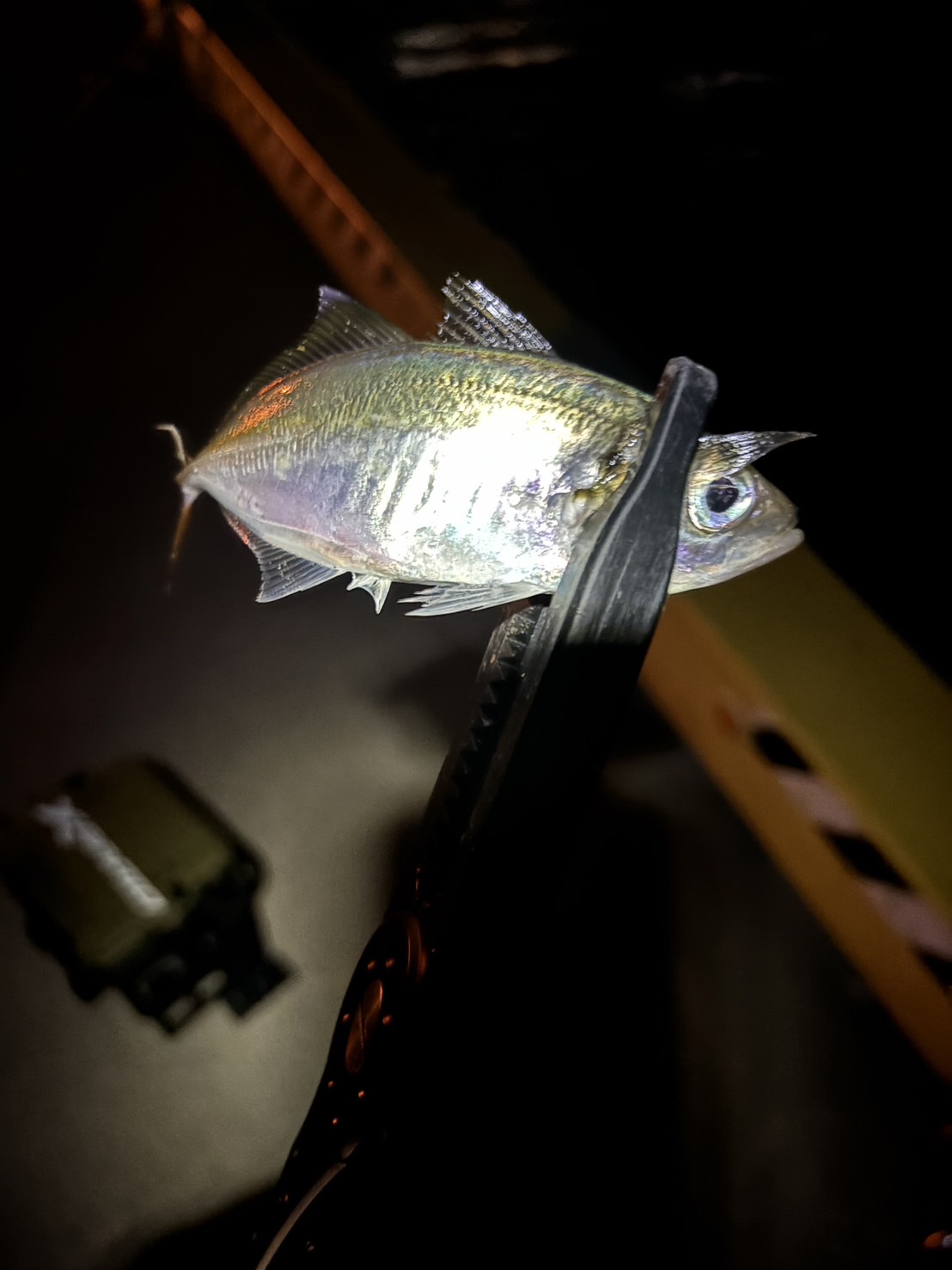 WruCsEc0IXeGsSXqVeKc7rE-1bilXH6wQLdWpEtzLiMSumfejjMKrdnSdIg2523iYg5whMxCJ7nnKVILwzso0IvUJXmuT_oCZLIwM_zAcpdI94Yd_rbhroyMfo0PWNvFQQq1-WG3eFy_I7uXKcbEYg==