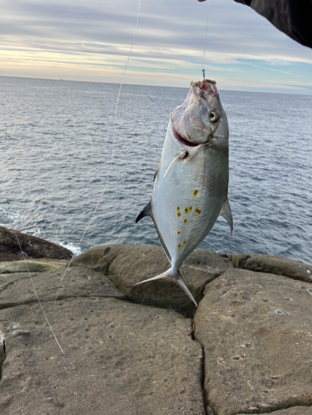 Yach6s4w1S-BDcLugWwF_paRJvHfHtOo4gEfwXDtZQ_wCW3nfjyTbCtIrYhD1-kIgDJ6HuRcoGMSJvJl79D8XBhJjUurdDX5sOeJjIWkq02taNTNRoao2Z_bl-GBzSMIdWH1GW1Hzzc1ZjJIrpDCnQ==