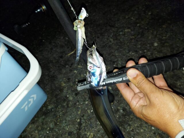 line_oa_chat_241117_101925