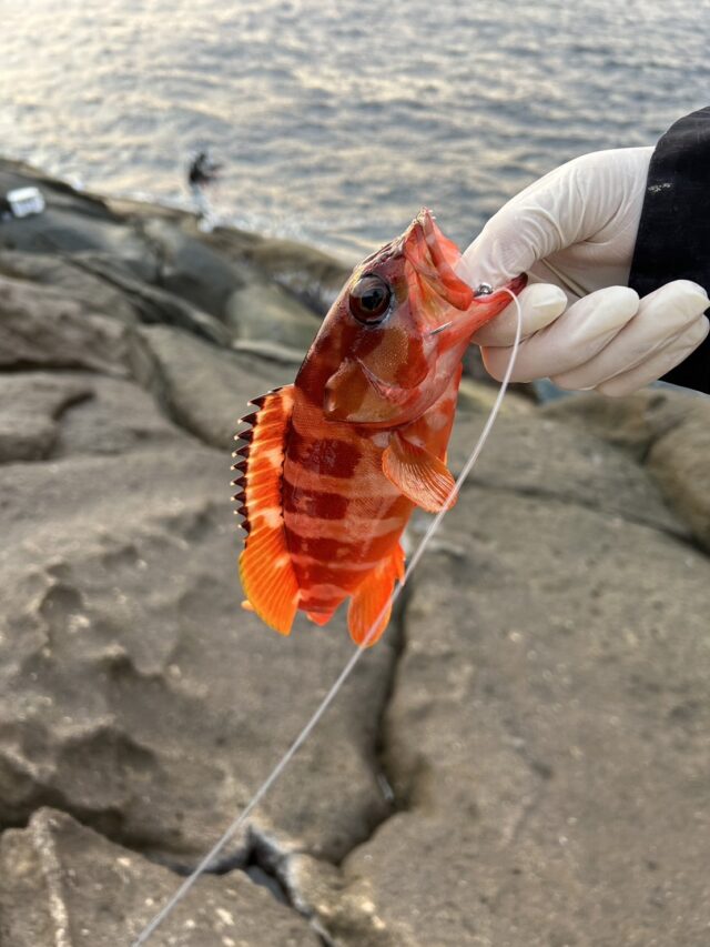 mIPJRXSK2dqXpjC-iTZ8VhHKmJKh9texryk5FiV5B986vh0DxkxpayIPdgCzb5MFlakF6-9d9KY45UXaaHorFPi_QDP11A_oGVKCzVILGJSDVIKdXOwGJ7v67oPDCabhCPs1Dl06N9VAVlxHgFo47A==