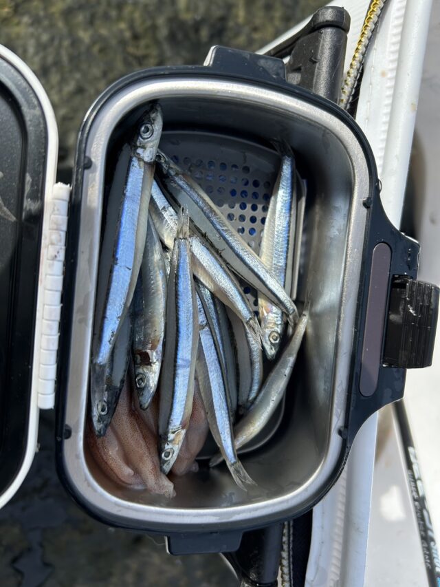 -ofVfpAs1ueh7A2gnV6wByhqFNdpL0MxbZN14sIvOMVkfuMINNqpTGOO4-7m1HFHjOZr6c8wtUj5N1bJ3MVsxNb83teGkZpQfVqjsD65_fXwwljeKVk6LOMETUIW-co5PGAWgRoNfwFFSQkqTkXAuA==