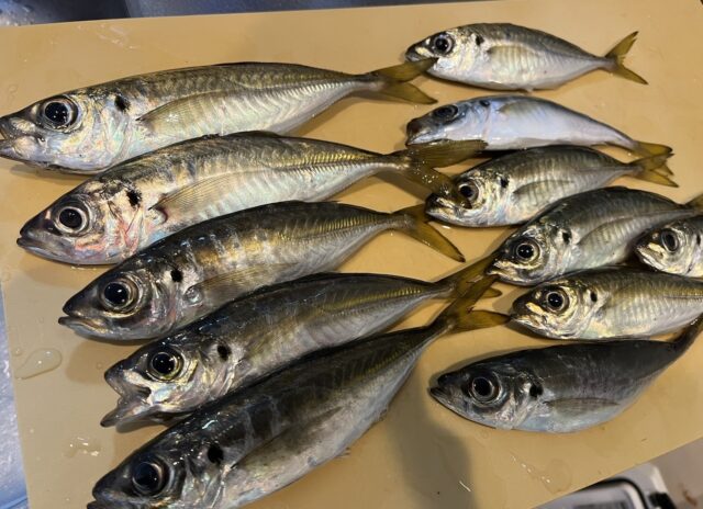 pJzH2dt6mjN1_WVLIz72ERecXdaRCjp6hZsKtY698Vxa5YV05kwuAJRr-r_i2nsBkEHuRdpb-Z6l2i_3b5LiM16sbhP1DyKq9bNr