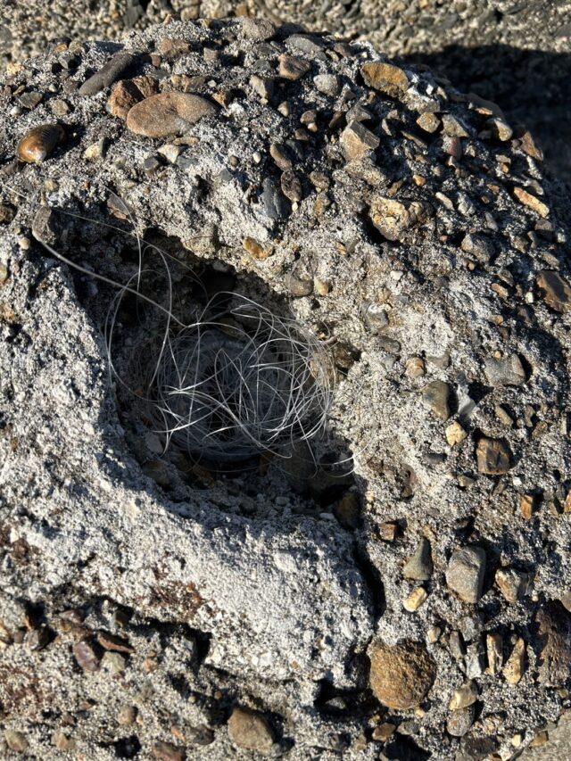 _8Vct69hPyA5YtwB6xW3EVbR6YBm8R7f7D7r6_04RAH7p6p7mON1JpnYeV87tunGd94XSIJIx2AloInk9OHlbiNb9zGbYHrUhjEPA9ANH9USqt6Ei8ucmPchGmeUfiH0QQq1-WG3eFy_I7uXKcbEYg==