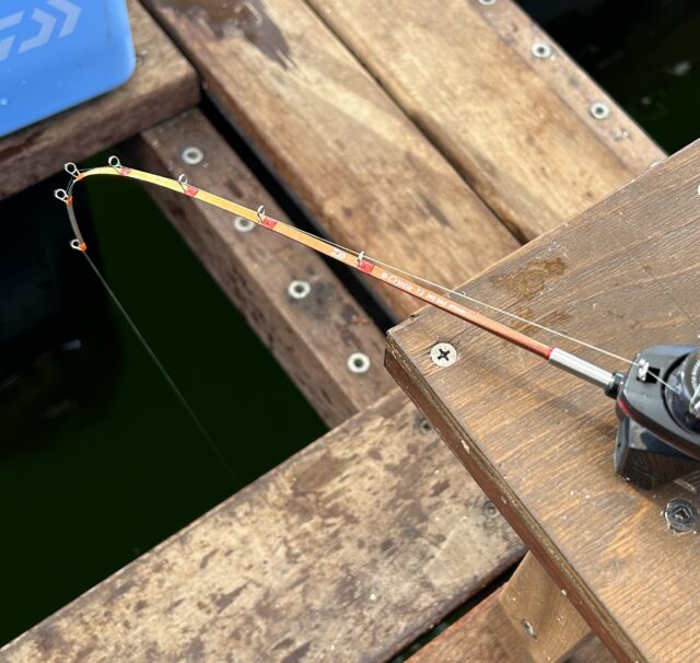 B188AC70-B2B7-4931-868D-963608B66242