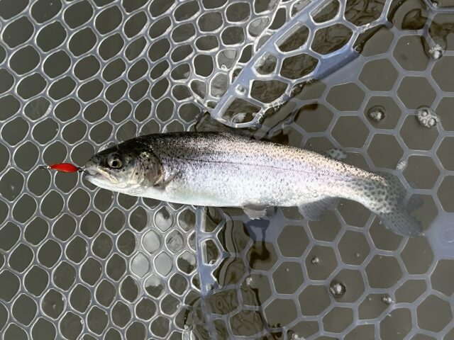 F9EE3038-EFA4-42EA-BA2C-637362EA3809-640x480