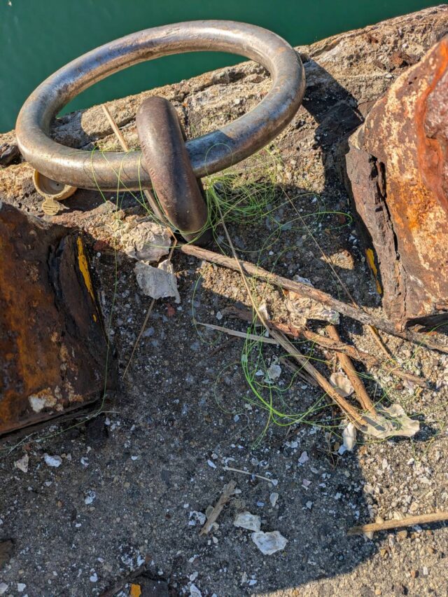 I_5gPimMZTbomqflXACIT_PyHHAO-fxj557NgjA3YOztu9Q0H5mHDotqGbWDMiGgJ_qn3kzTeH4JxmDMUEsG9aC7BMWIgHITJkOT0WL-RROL2RVRJALOy9DI6GLpDZdEOObrIXWDvj3wvVZWXR7TOg==