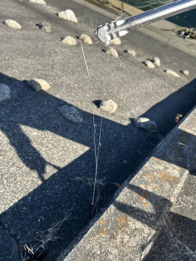 Nr1tDgiNrSqOYXJVgPNW8ufi7I1mIFd_7ix-7QvR73oMovDBPB_Omg3-jeMghUhVb9xnaQ6EZl3XKP_p5_NG9rLljQW2vadlCi89lI0VwaQQQ8zA6WLcXOeU67zVUXnm-Y6RmCFYWj9R9NUu3GhWkQ==