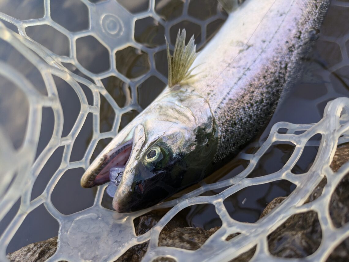 PXL_20241210_065038311.MP