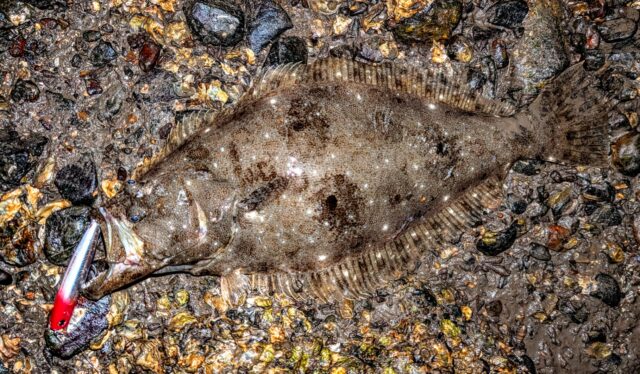 PXL_20241213_125310795~2_copy_1818x1062