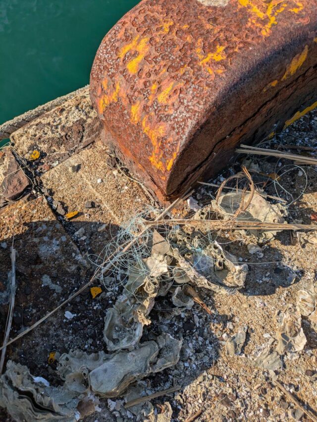 QfFIWhQUkP_TJlOyZ6KpbEt5VNWMAc2QsmduZi_QA8YcFSrGbkH1CUqHj_4hrAmQAZ6ztQzaIzeh1ClOaeBqKkLuSlsaxY_T2DZj0_e9wWj_XBHSLafs8SJTAVlzWZwZr6fRbKROf4YksHppMo5QDQ==