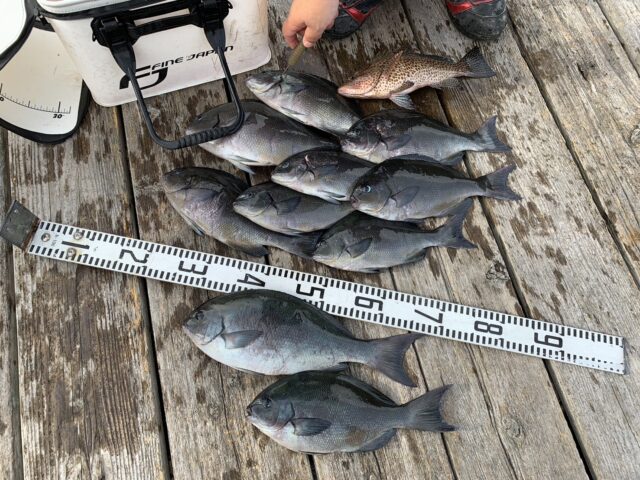 igD02__IAILhwRKbNBrwq4i8CEm_chUV4Wk09udHNHNQkcyZEZy6bP_FMmxFrrx2-ywso4buJjKdIsN8ALOqDtpH5mm4_C3yTlEqQlaif-PH6X2o4qstd5Dv3xBXCsEiQQq1-WG3eFy_I7uXKcbEYg==