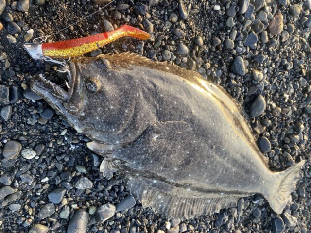 line_oa_chat_241212_141400