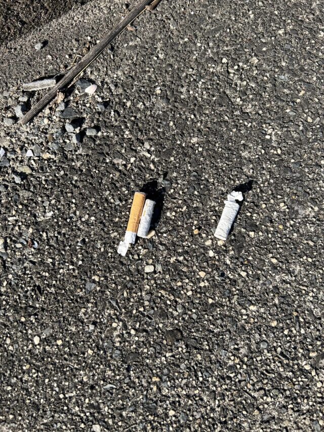 nLohMFTWE-V3T9sg4_M0GJzjm_1TT2NXYUvMkqFGYvenMVmI7bJhydqMTmhxtbtg--S8AioDN8cusraledSC4EeU92F4C75-_kqM_-n725KnPsm3O88hKq65mErHWepEPGAWgRoNfwFFSQkqTkXAuA==