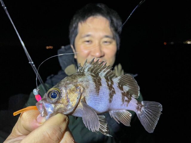 ndxGiIBM59UAP42PJ_8i6Zu8zFDJeRxB95NM32pOa9yMUWdS7yGXWrAves51D5qrCux8hI_NEeMgnPmTxIyUS3b9Dk2sWr5qH9wioCjH_k7ir6qYbGYn7Jasc7zfpBqohQ7XXNlMIvOKyR-Uke5ipw==