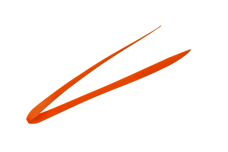 01_keiko_orange-800x533