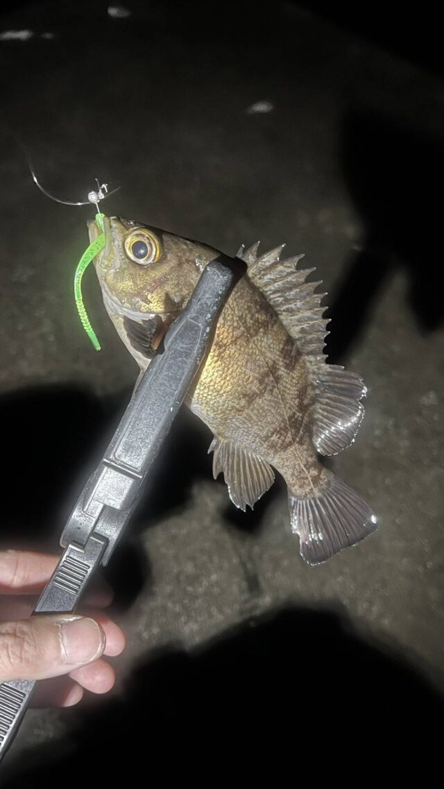 0gKKSgBASK5gQBjp2KiuIPirlViA7-l3jAn1-hhT7dKj2caHePOIDuADcU1b9jHsPK_CGgDq_VU8gWpQyRCuQCohHQPKVbDCsrE5pMAXsG4Ef52Vn86hKYMpotrfwZYnz-l8wzGQwHLkU5ioxg2GJw==