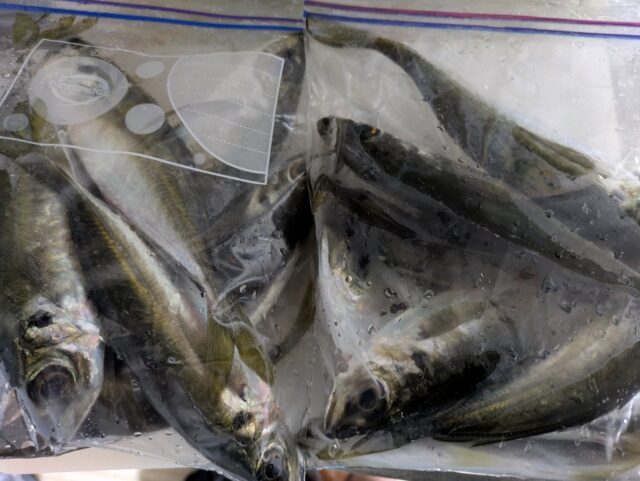 7UzrnW6PS4ixVcAGzFhyEw