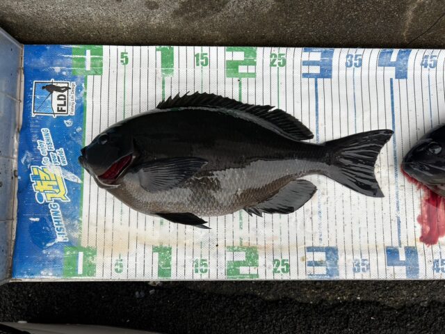 9lzzkRgTVfrI7akvw0aB-3vNAdVI5CDN9Mh1swPjggq1QMnniyYGW_vY-tWdcS5nbEuiaNTzeU7Q4lY-NjXCNUpN86Kuq5YvcYKLEAY-Rz-mays0VMnK5H6J2pDc3Fs3OObrIXWDvj3wvVZWXR7TOg==