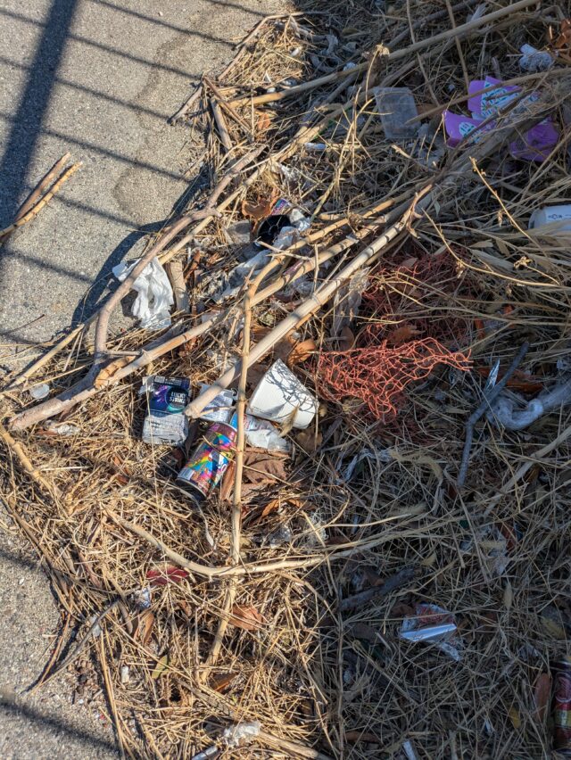 PXL_20250210_021324340