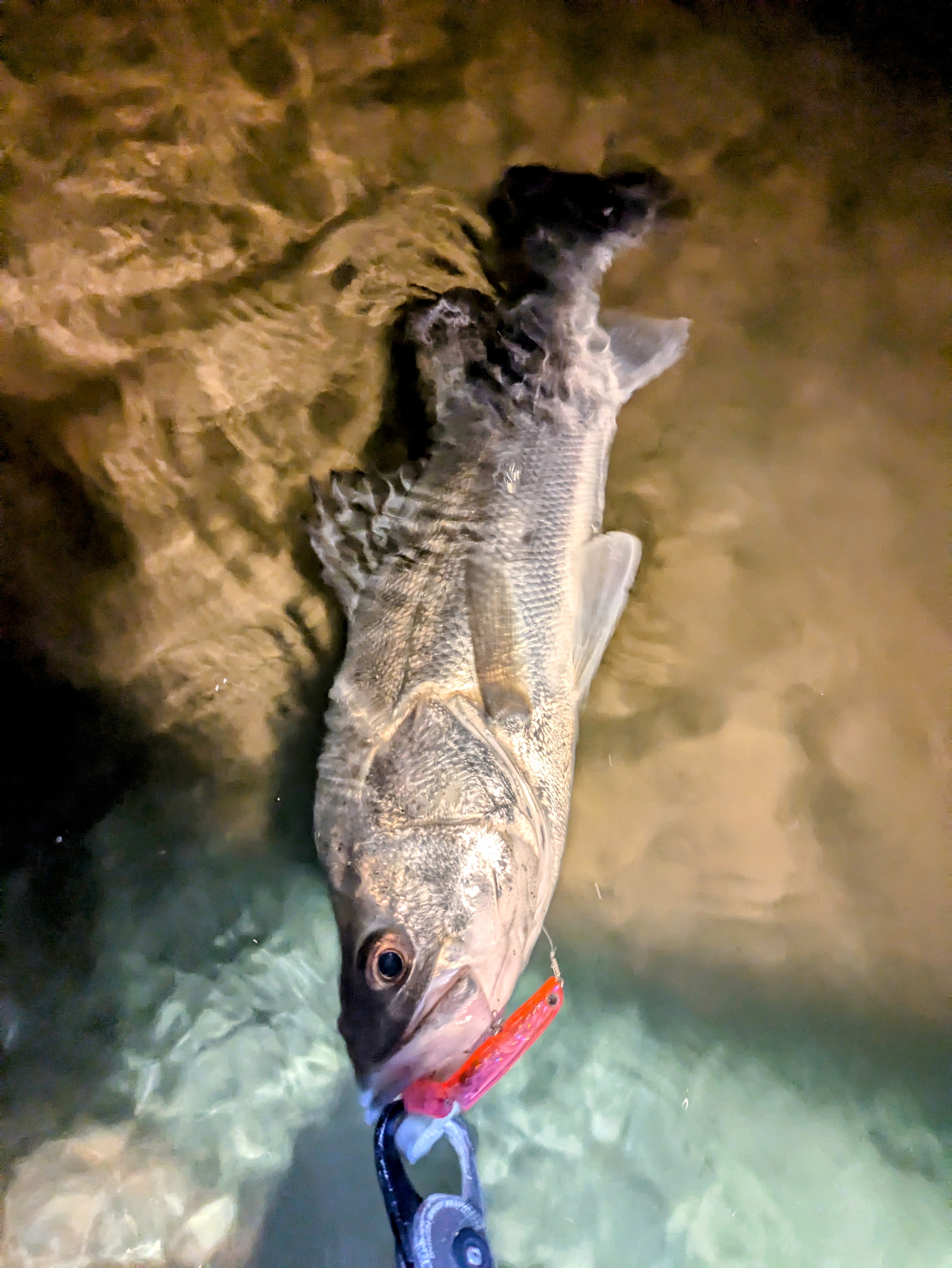 PXL_20250216_130349416.MP~2