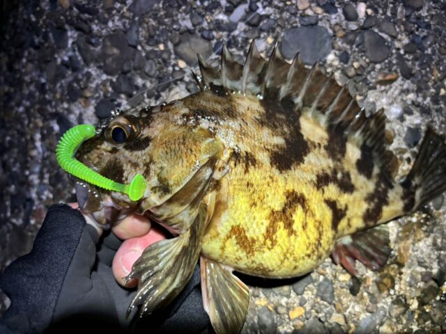 PsQ5u1FdB4h6wvl0F19CWTA0MnCJsvQAyeFKfCIBTfM1BWqxLt6K2z3gTL2r7iP0TxaFqH3cxlvjmycCdYNuTQBwo18YtFR5TMKTDef6wQ30dUTRJDYMbOYtIUfJCvjpkpngZXezwyv0UN-p8nCI8Q==