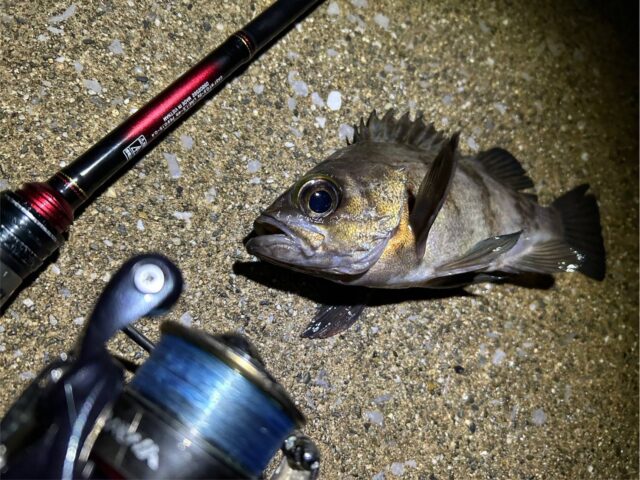 XxAK6APrEYbbt0prmA5COnHYS-auIC6eHt5c-kyz8txRWrNFCZLmFyJ25SONJTpUIoWp-06COzV5pA4Q7GA3fLV69l9mk63k4ZTUVoovvsK9WIzw1a35lpc-1zSWddtcz-l8wzGQwHLkU5ioxg2GJw==