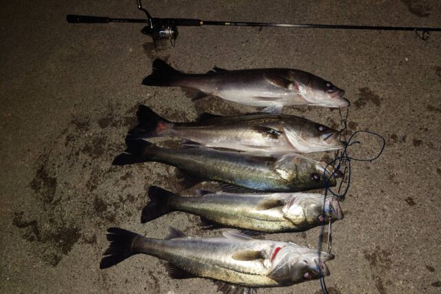 sqmDV8D5NNIKjbLnbFOuaTXTCSb95Z8CqbIguUwASGiubVMfxKpUAp6cbzGjJ-sOqKJ0gLZBROI23E3b7NgycSisyc5qrzCrteZ3zyUJMzxzGofnobmIW1GoJ4QhUpRCjgTjgTGATm1_gXXKFHhmhg==