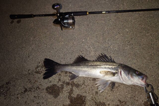 xTaq5OtLga83R_roBm7Q0RLZ7wJjihq3TYn0-T2T8yk5TiPNX6zFJ-vt4dOLpIqC9-89awnCM2__Xn3DRO0VoWyQeSA-lXwY8IzINvPxi_CLhkit8AB4hwFCgmTGoEzoCPs1Dl06N9VAVlxHgFo47A==