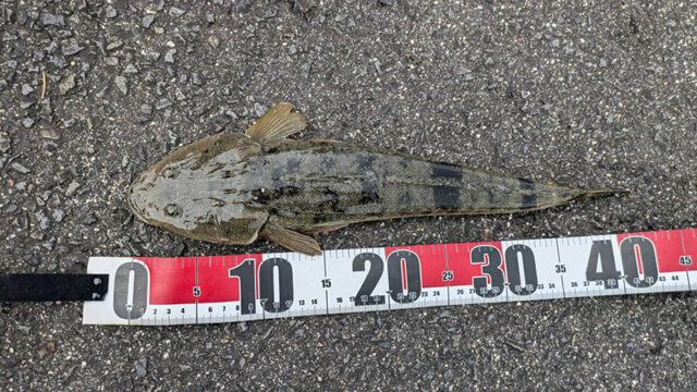 3月13日-とうや様1