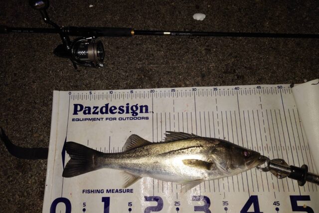 Fa2MNPg9mZP41pa2VbhoGFpE-y2FaEEfDFHgUCD2GjOLXqX8xG6qOySqAZh1-9JltDv55-ylgR_JqQeX1hZ8pHS1r1xNsvqcEOS2V5hjFvFl6u9vbazHDD_Bc2MAz8Va-Y6RmCFYWj9R9NUu3GhWkQ==