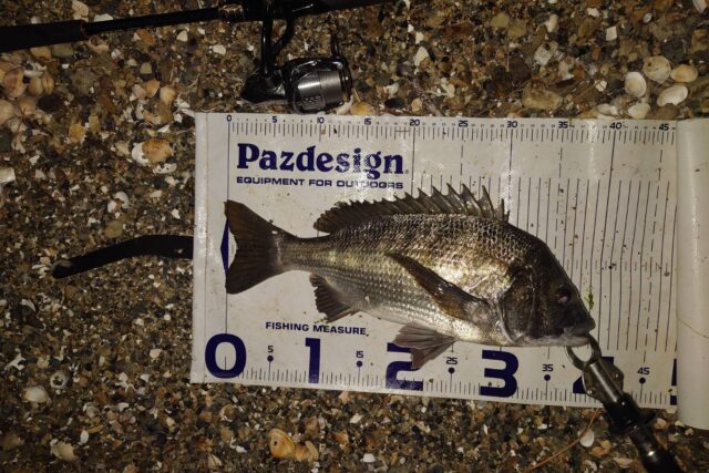 LdmJ0NgWsC51sfpTgq5UhJdVTcl4xFvGbqS8Dw_ACnehIzrgg72ZKZcLJ6WeJjtUGMEcob5YEEDunmZh2yzcEAe6QmRTE7l5tvHoy1zJ0gS2O_K5vQqBTtCpO--DyMf5PGAWgRoNfwFFSQkqTkXAuA==