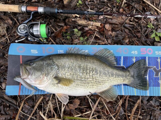 Usl9-Ihui7l3Hlohm63rClOR4RqTg-yYKFGdCqWZwItiMX9B4PrxfCOxSR4PIDG7i5BSZqcMsViGH4YYiSXBq5bf9rCWbE9FlQ-8iNBHFsRh6LmtM_boVfqRmjOCOefwQ0mGTKiMiK02azDH-NEk1Q==