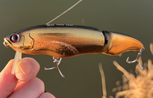 スクリーンショット 2025-03-01 1.50.59