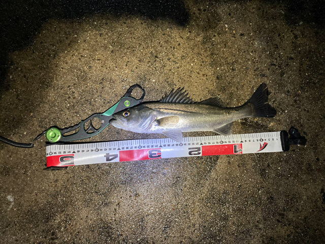 3月24日-こうじ様