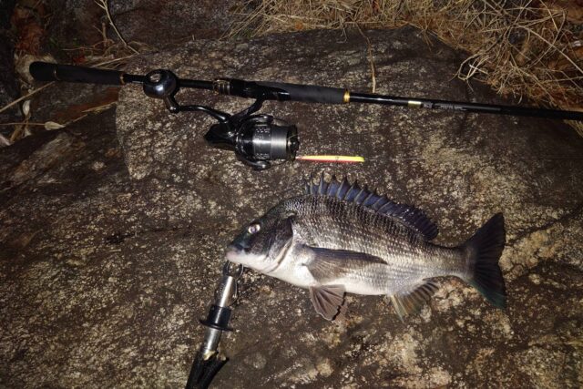 jhAZh-H7OpOsUA5kfIsdiFz1D9LbUCwkQJrk6ciYvjRIh8J-kA-ynmuBRTxjL74zXSOHobfCapU5x--IRmeAo6knOqP5TKmmSZ8FOXDwANYyH0C-l6rm_Ozc2Z-SjYjOQQq1-WG3eFy_I7uXKcbEYg==