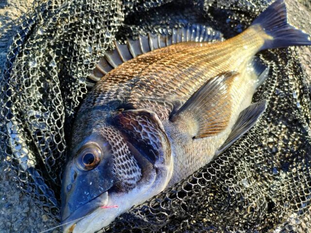 line_oa_chat_250226_174405