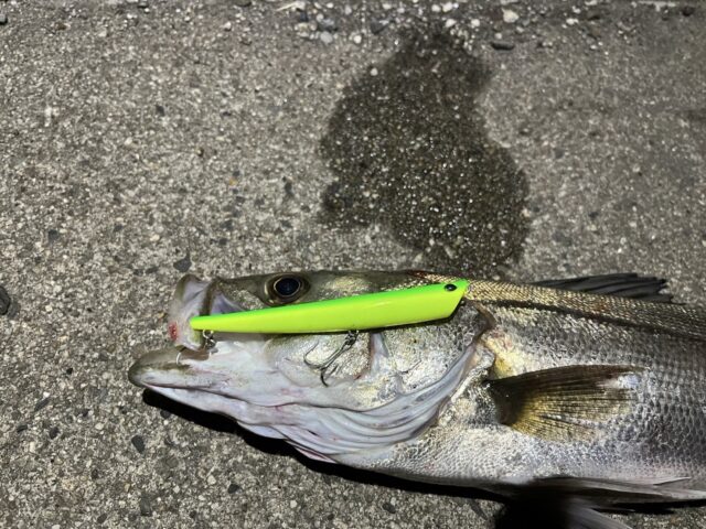 rXjI8TmiOFhpradZHXWkZ-LCmqLYyWhDaHL8ks6SOlyjRQPatiA0cVokQ0gUYBwm-dTmCuPbZdNeJrJ_Zr6jFq_LjJL4ovr75Pr9cdB7U7xUGmOfMc4m7d8ucSBorEiFdWH1GW1Hzzc1ZjJIrpDCnQ==