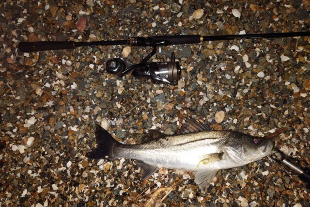 znX1axZY_LSk-x8h7MuTSu2uB9wJxVavNyFuWPNQ_JB0bJIlTjqzXxGhrnPIooUc9DgS2Up1ZIh8s9R1N4tntZNy-zZCKOaD4u4cD0bBre5f9YzrpU0FP2MvtBeuuHyhOObrIXWDvj3wvVZWXR7TOg==