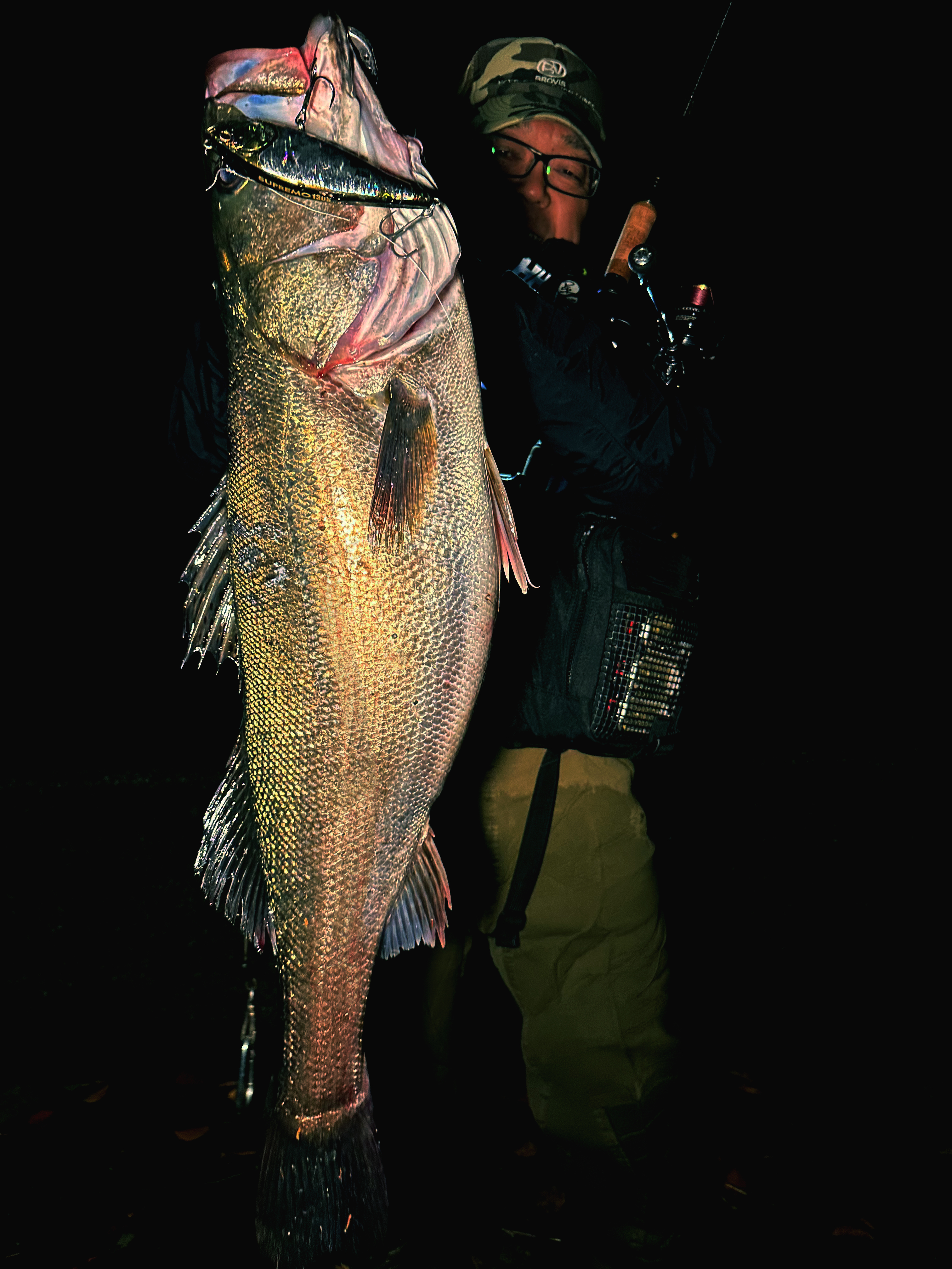 20241231012218170551