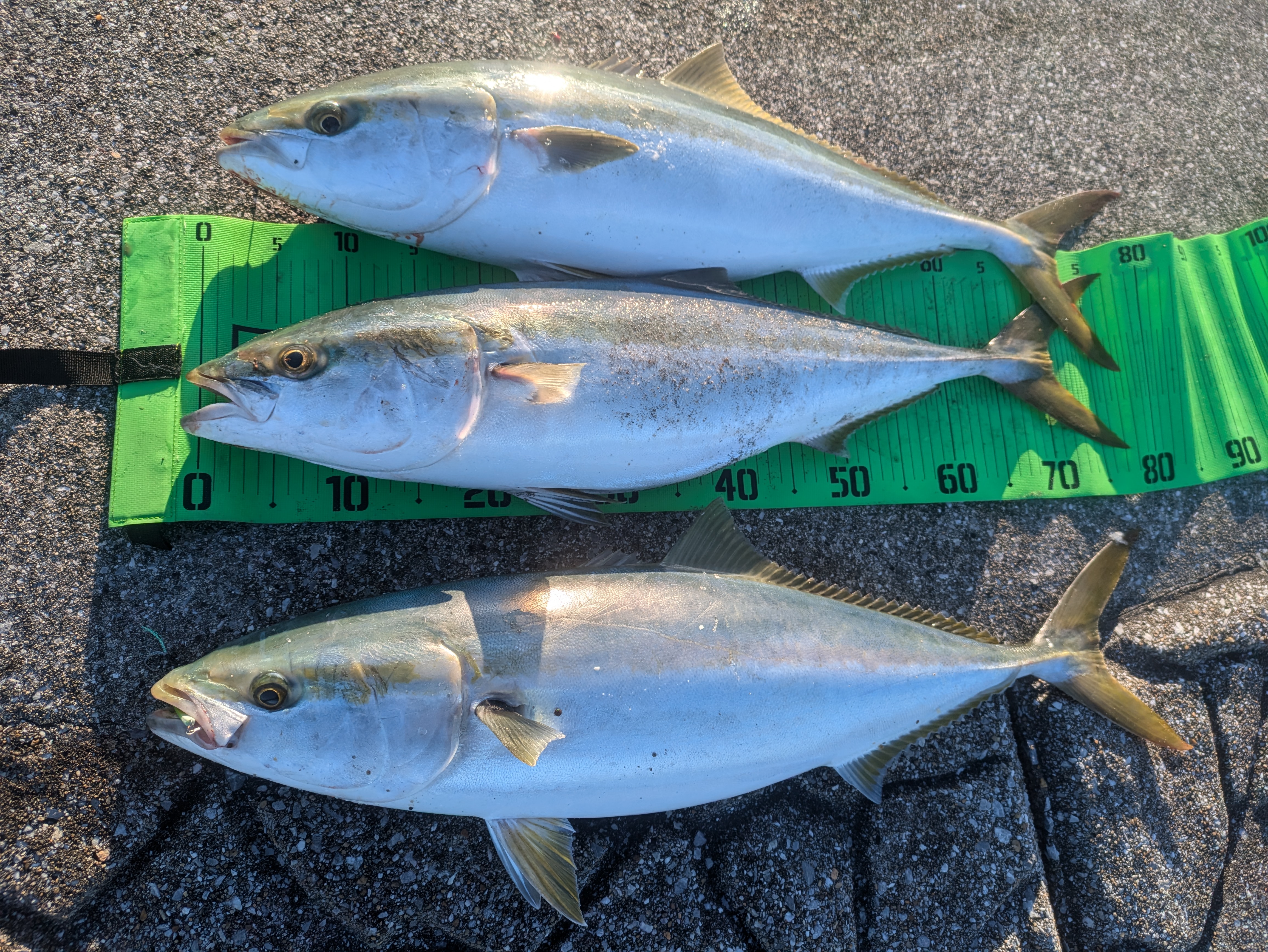 D0FF1873-6B4C-451A-9002-59E12EFE197E