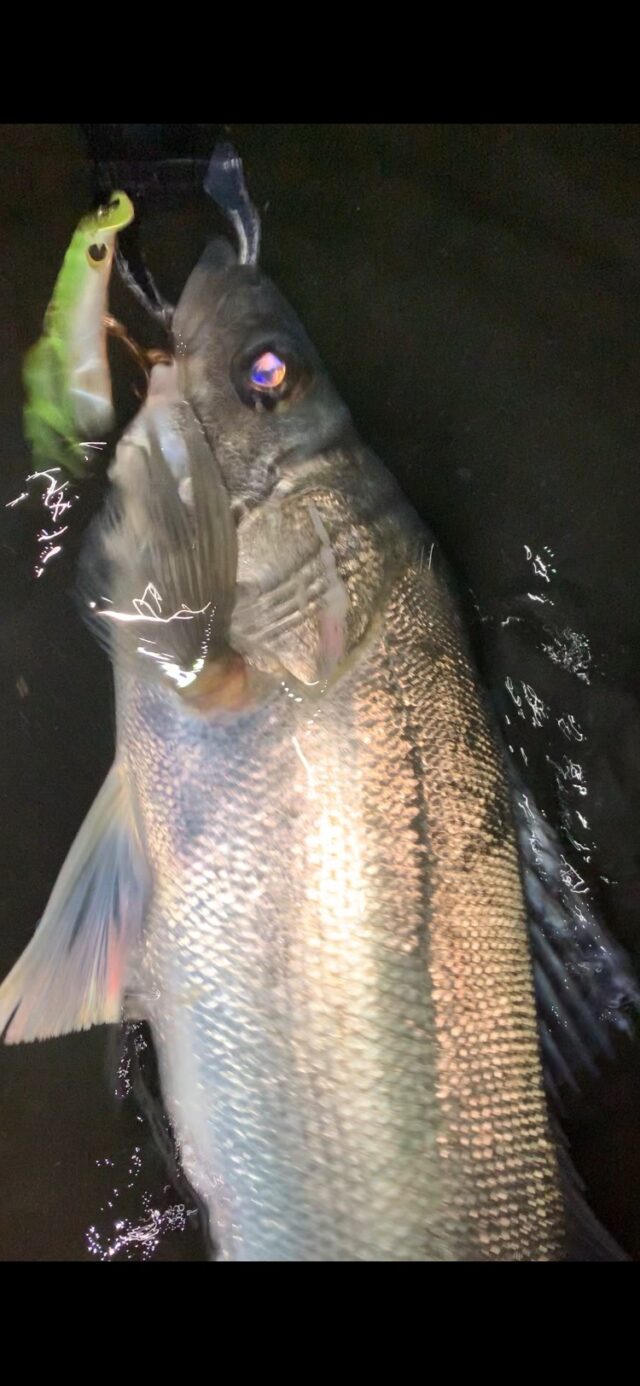 Fl-Qjs4UcTl18k8D-uknSy6DKnI0kEUmAtmH8hY4BA_Bo1hRwJ44oRFxM4KD5OgTaB7xsbl6w-SfY99ShdleCfLEyexROUcL_0JoBEXY2mr4pw3VPbTUAQsVqALWZlmMOObrIXWDvj3wvVZWXR7TOg