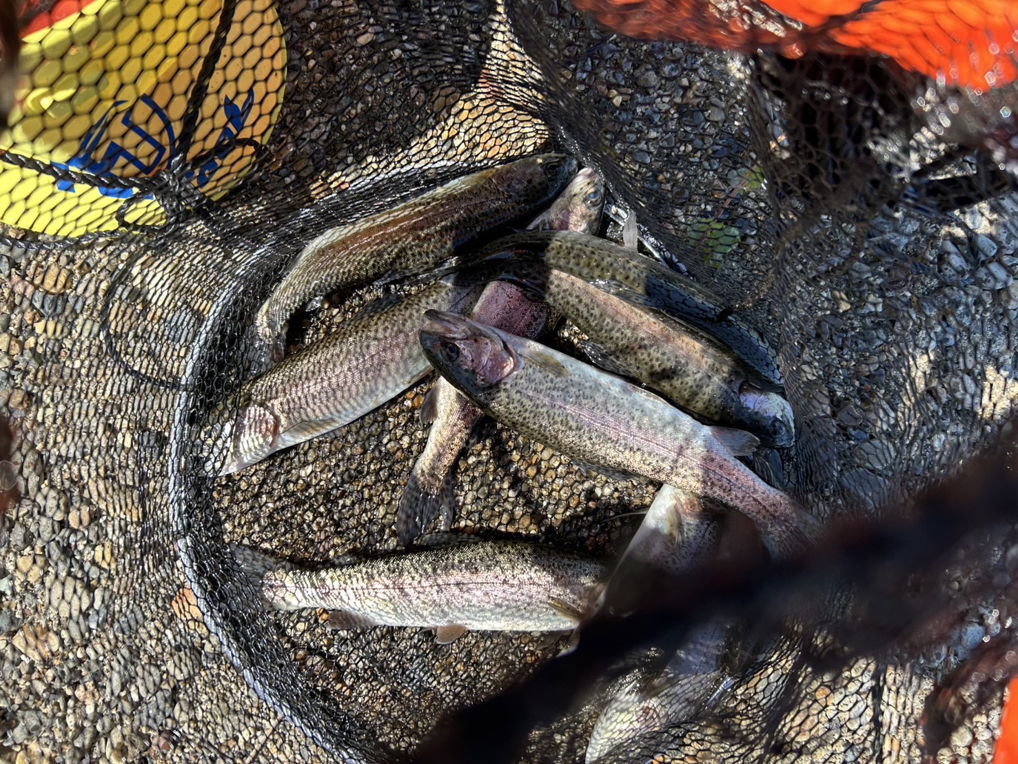 M-zfN6TkP7EDBdHuyvHkM0zTINzfd1vCXwxifSI5XO-R-7x9ttawZL2OV1MiE0hUBPFku0SiRa5SqbpCZb2SXlM8lpRNNLF2OZ3JSRaGZ-ybzIXpMMHo9aQd9dwmzGQ3hQ7XXNlMIvOKyR-Uke5ipw==